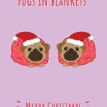 pugs in blankets merry christmas