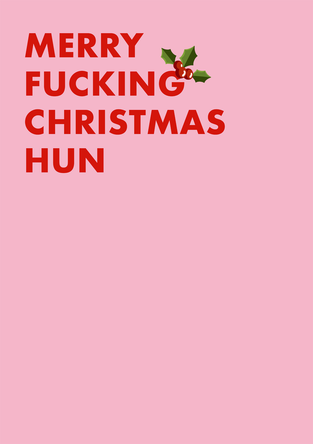 Merry Fucking Christmas Hun Greetings Card