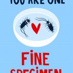 You Are One Fine Specimen - Valentine's Day Card