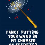 Fancy Putting Your Wand In My Chamber Of Secrets ? - Valentine's Day Card