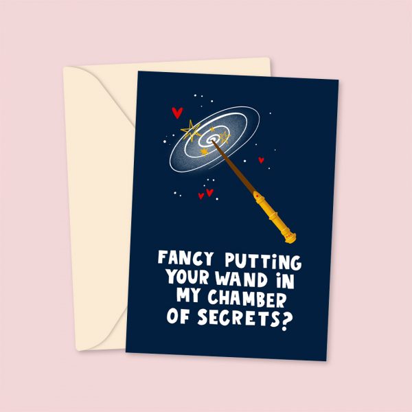 Fancy Putting Your Wand In My Chamber Of Secrets ? - Valentine's Day Card
