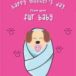 Happy Mother's Day From Your Fur Baby Dog