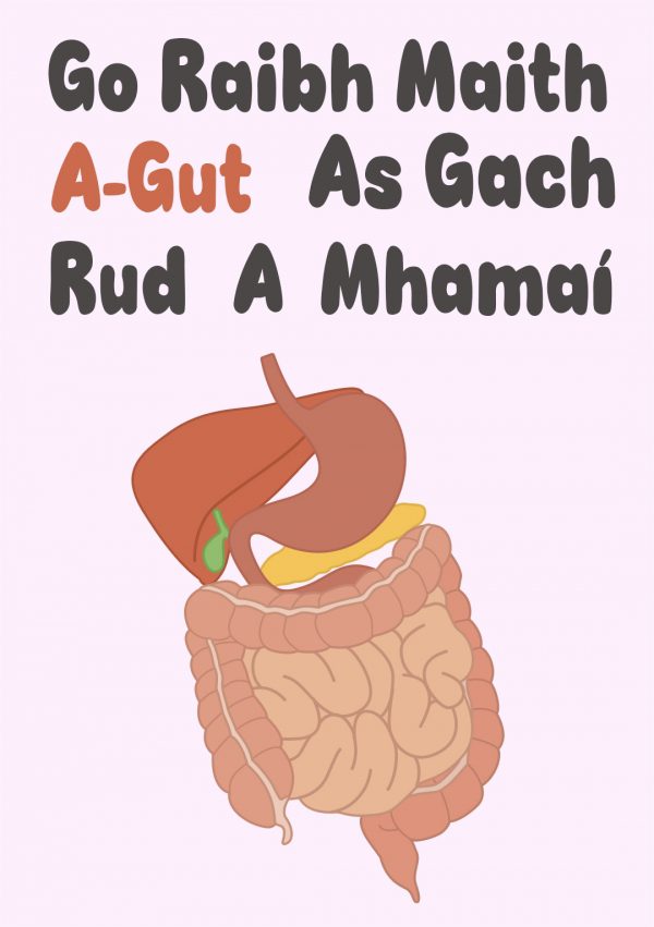 Go Raibh Maith A-Gut As Gach Rud A Mhamaí