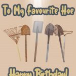 My Favourite Hoe...Happy Birthday!