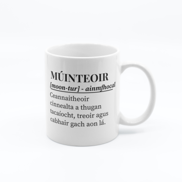 Múinteoir Definition Mug