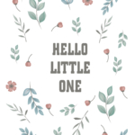 HELLO LITTLE ONE_1080x1532