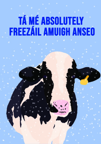 Tá Mé Absolutely Freezáil Amuigh Anseo