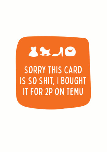 Bought It For 2p On Temu