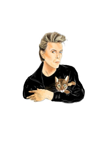 David Bowie Card