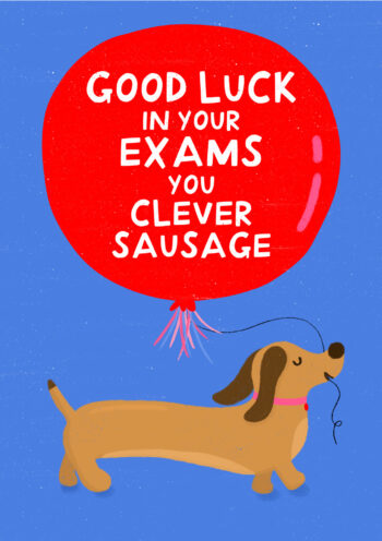 Good Luck In Your Exams You Clever Sausage - Red Balloon