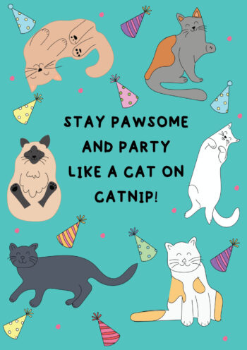 Stay Pawsome and Party Like a Cat on Catnip