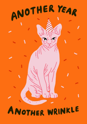 Another Year Another Wrinkle - Funny Cat Card