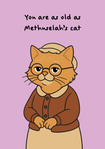 You Are As Old As Methuselah's Cat - Funny Birthday Card