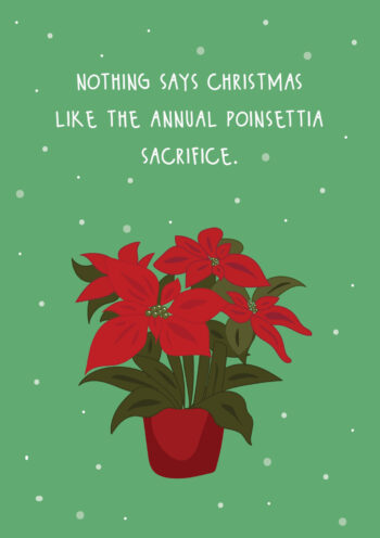 Annual Poinsettia Christmas Sacrifice