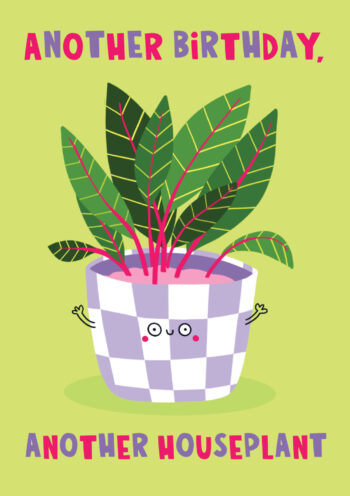 Another Birthday, Another Houseplant