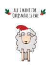 All I Want For Christmas Is EWE