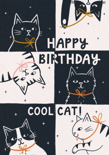 Happy Birthday Cool Cat!