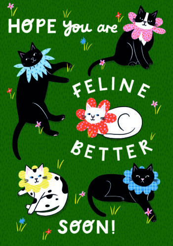 Hope You Are Feline Better Soon!