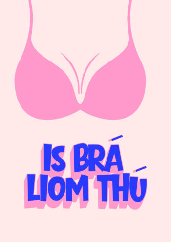 Is Brá liom thú - Funny Valentine's Card