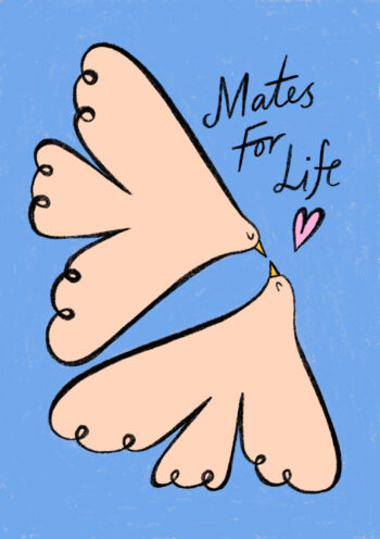 Mates For Life - Cute Dove Card