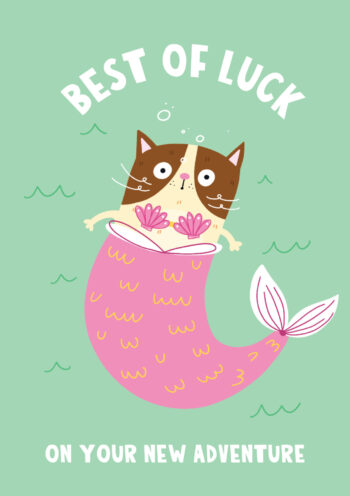 Best Of Luck On Your New Adventure Cat Card